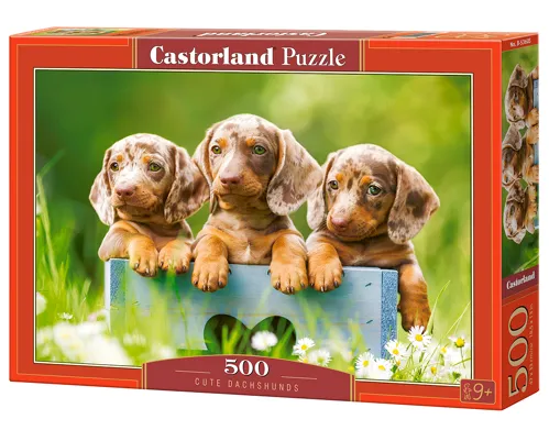 Puzzle Castorland 500 dílků - Roztomilí jezevčíci