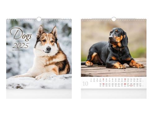 Nástěnný kalendář 2025 MFP malý - Dogs