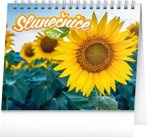 Stolní kalendář Presco Group 2024 - Slunečnice, s citáty, 16,5 × 13 cm