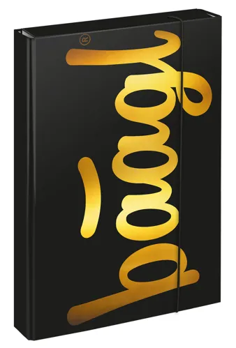 Box na školní sešity A4 Jumbo BAAGL - Gold