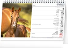 Stolní kalendář 2027 Notique Koně – Kone CZ/SK, 23,1 x 14,5 cm (1)