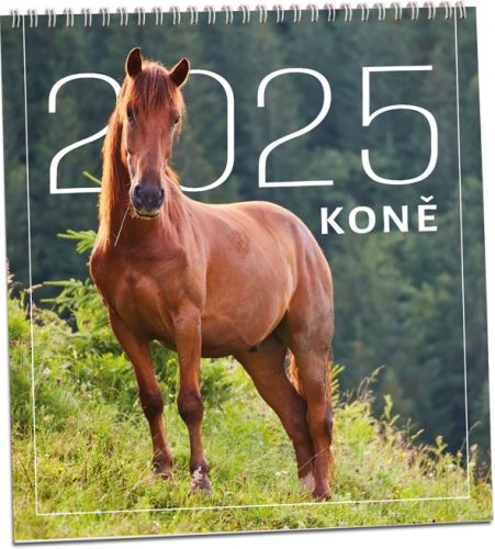 Nástěnný kalendář ARIA 2025 - Koně