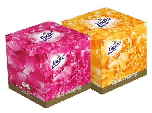Papírové kapesníky Linteo Premium v krabičce 60ks, bílé, 3-vrstvé