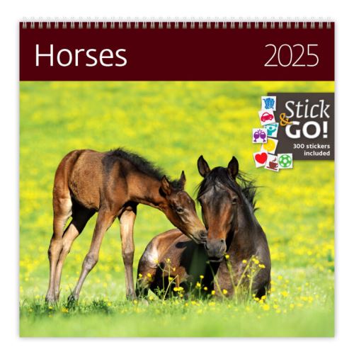 Nástěnný poznámkový kalendář 2025 Helma - Horses