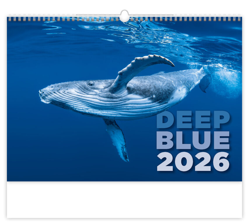 Levně Nástěnný kalendář 2026 Helma - Deep Blue, 45 x 31,5 cm