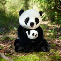 Plyšová panda s mládětem, 27 cm, ECO-FRIENDLY (4)