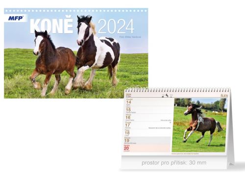 Stolní kalendář 2024 MFP - Koně