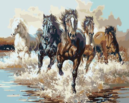 Malovaní na plátno podle čísel 40x50cm - Běžící koně ve vodě