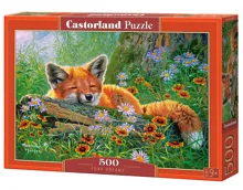 Puzzle Castorland 500 dílků - Liščí snění Puzzle Castorland 500 dílků - Liščí snění