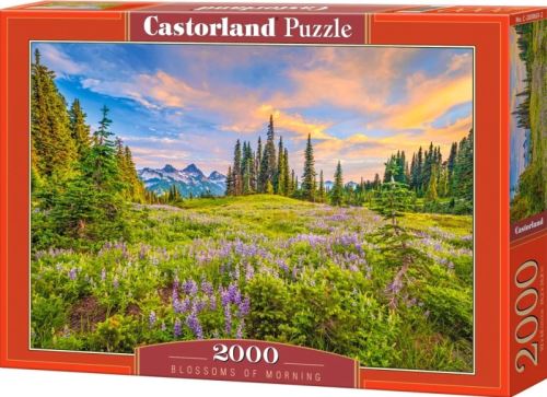 Puzzle Castorland 2000 dílků - Ranní květy