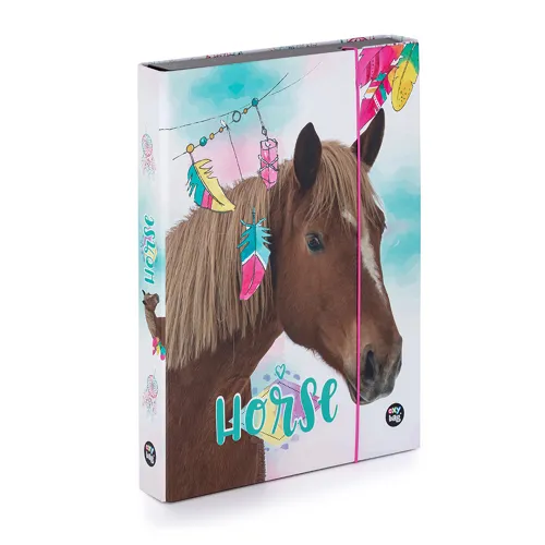 Box na sešity A4 Jumbo KARTON P+P - Kůň Romantic 1
