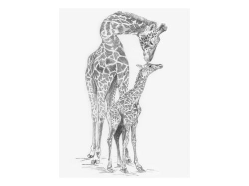 Malování skicovacími tužkami 22x28 cm - Žirafa s mládětem
