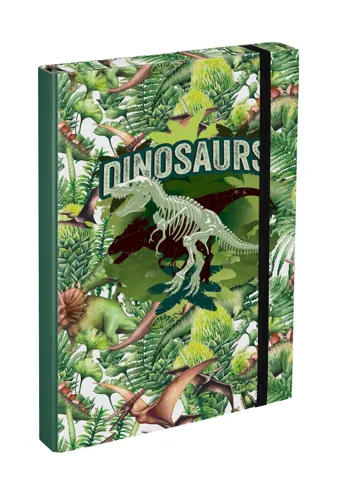 Box na školní sešity A4 BAAGL - Dinosaurus