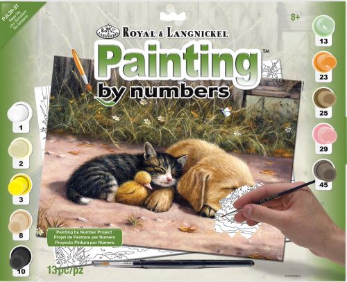 Malování podle čísel 30x40 cm - Spící pes s kočkou