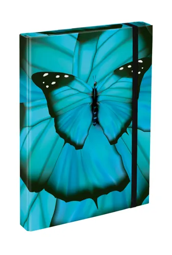 Box na školní sešity A4 BAAGL - Butterfly
