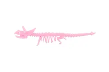 Antistresová natahovací kostra dinosaura 22 cm - mix barev (7)