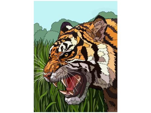 Malovaní na plátno podle čísel 30x40cm - Tygr v trávě