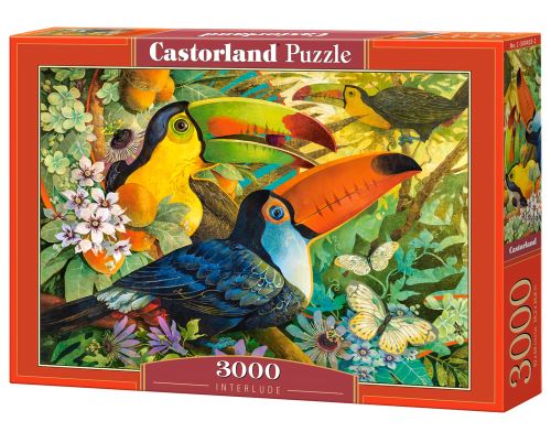 Puzzle Castorland 3000 dílků - Tukani