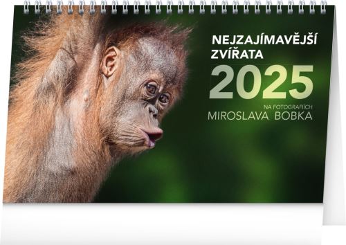 Stolní kalendář 2025 Presco Group - Nejzajímavější zvířata