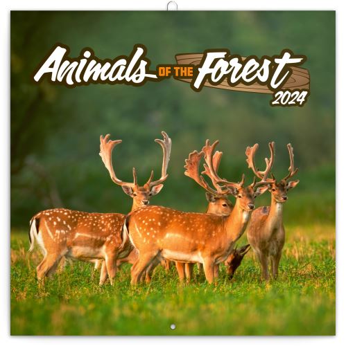 Nástěnný poznámkový kalendář Presco Group 2024 - Zvířátka z lesa, 30 × 30 cm - BEZ ČEŠTINY
