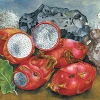 Nástěnný kalendář poznámkový 2027 Notique Frida Kahlo, 30 x 30 cm (9)