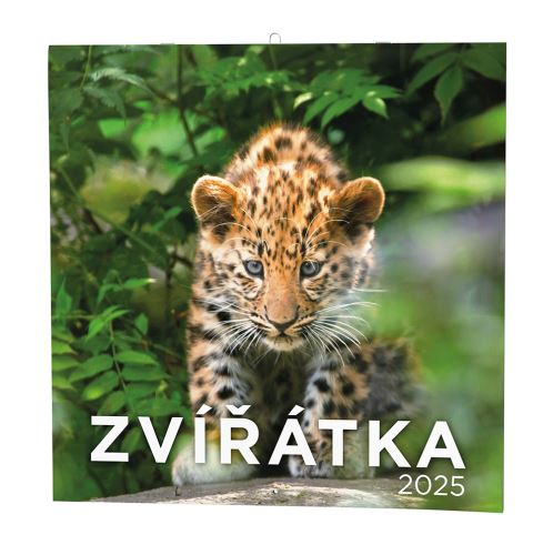 Nástěnný kalendář 2025 Baloušek čtvercový - Zvířátka