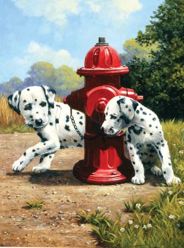 Malování podle čísel 22x30 cm - Dalmatini u červeného hydrantu