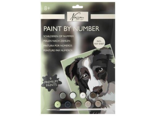 Malování podle čísel Pes
