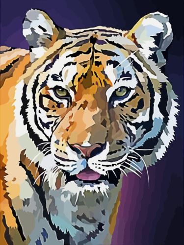 Malovaní na plátno podle čísel 30x40cm - Tygr v noci