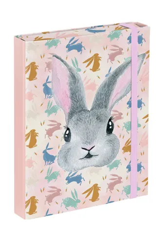 Box na školní sešity A4 BAAGL - Bunny
