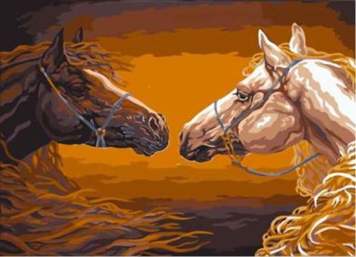 Malovaní na plátno podle čísel 40x50cm - Koňské hlavy