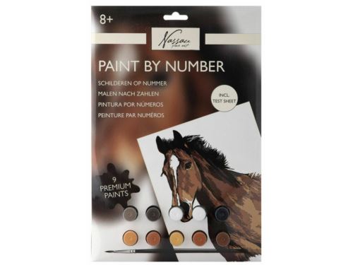 Malování podle čísel Kůň