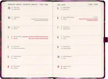 Planbook diář/notes 2026 NOTIQUE - Fialové květy, 13 x 21 cm (1)