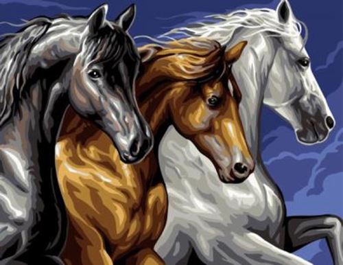 Diamantový obrázek 30x40cm - Tři koně