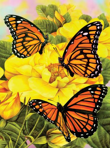 Malování podle čísel 22x30 cm - Motýlci na žlutých kytkách