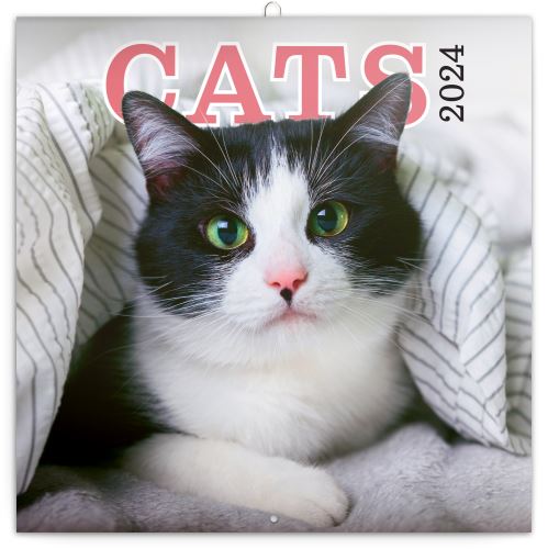 Nástěnný poznámkový kalendář Presco Group 2024 - Kočky, 30 × 30 cm - BEZ ČEŠTINY