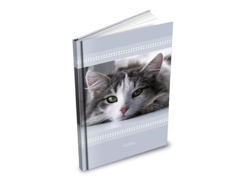 Záznamová kniha A6 MFP 100 listů, čistá - Kočka