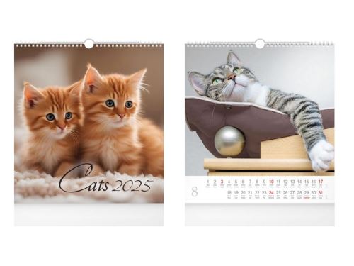 Nástěnný kalendář 2025 MFP malý - Cats