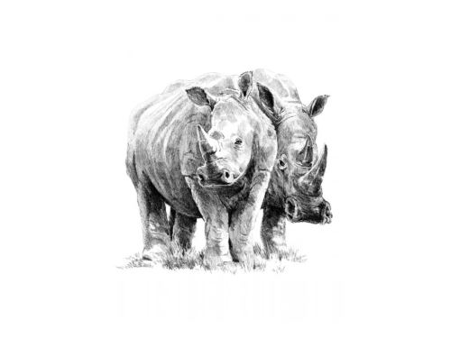 Malování skicovacími tužkami 22x28 cm - Nosorožci