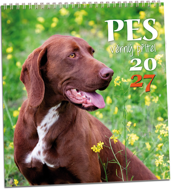 Levně Nástěnný kalendář 2027 Aria Pes - věrný přítel