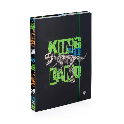 Box na sešity A4 KARTON P+P - Dinosaurus
