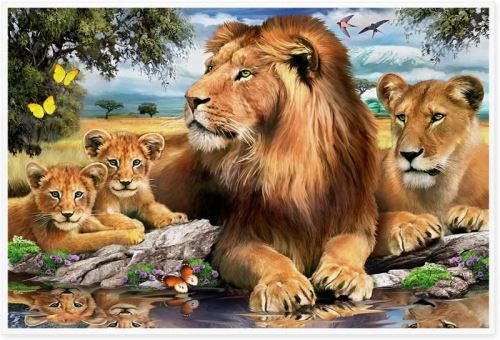 Malovaní na plátno podle čísel 40x50cm - Lví rodinka