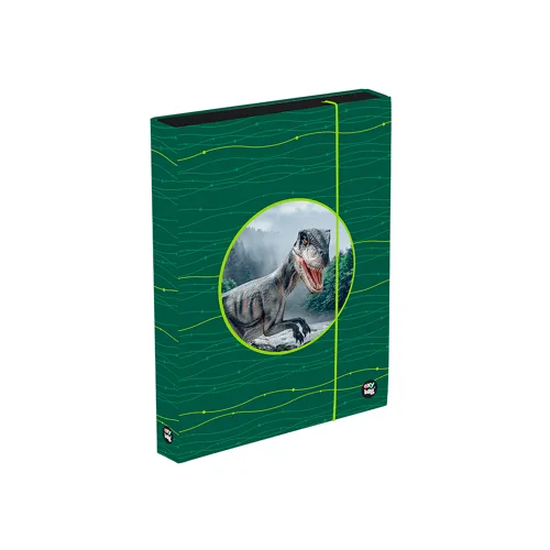 Box na sešity A4 Jumbo OXY Sherpy - Green