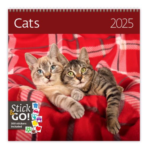 Nástěnný poznámkový kalendář Helma 2025 - Cats