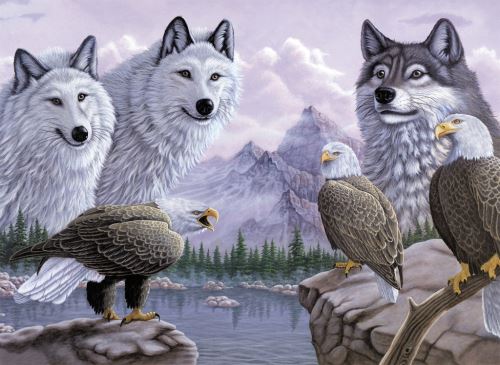 Malování podle čísel 30x40 cm -Vlci a orli