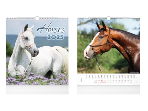 Nástěnný kalendář 2025 MFP malý - Horses