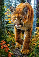 Puzzle Castorland 1500 dílků - Mountain Lion In The Forest Puzzle Castorland 1500 dílků - Mountain Lion In The Forest