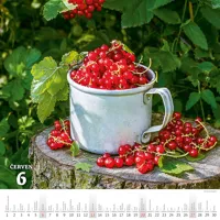 Nástěnný kalendář 2027 Helma Krásy venkova (6)