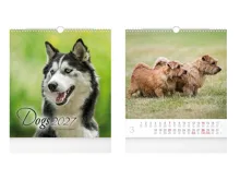 Nástěnný kalendář 2027 malý MFP Dogs