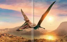 Velký obrazový průvodce SVĚTEM DINOSAURŮ (4)